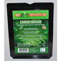 Volwassen muizen 25 - 30  gram 15 stuks