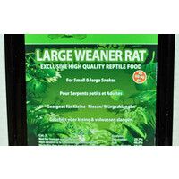 Grote Weaner rat 60 - 90 gram 4 stuks