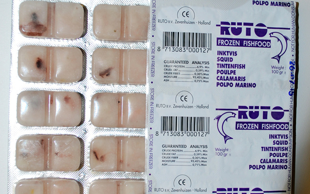 Ruto Gehakte Inktvis 100 Gram Blister - Junai.nl