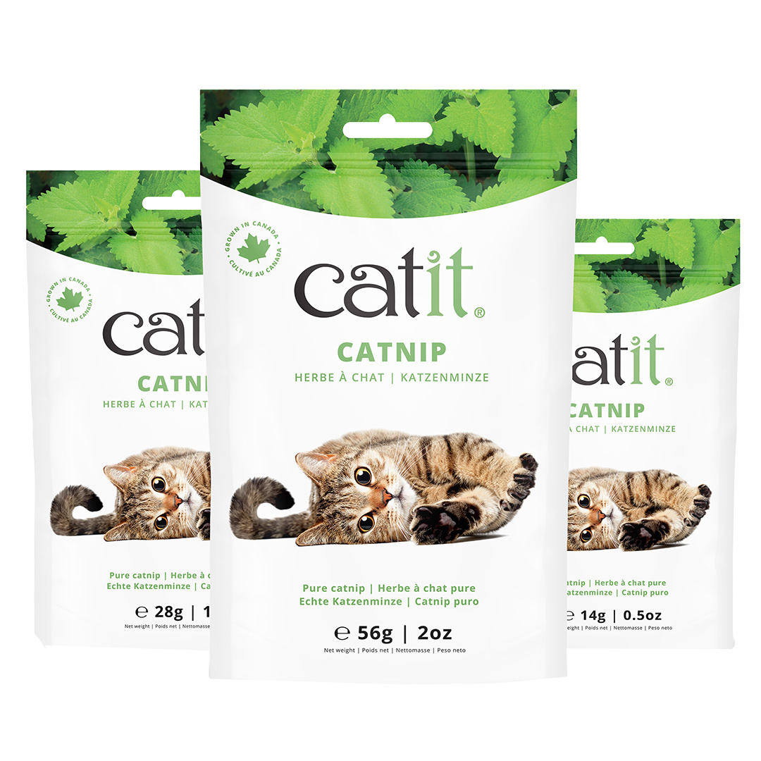 Cat It CA Catnip 28g 56g