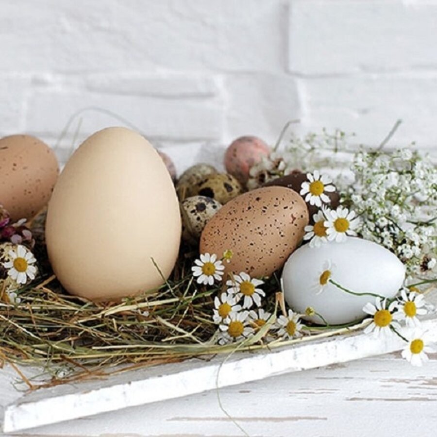 Servetten Pastel Eggs