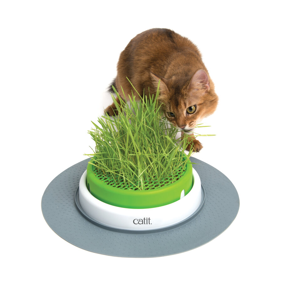 CA 2.0 Grass Planter