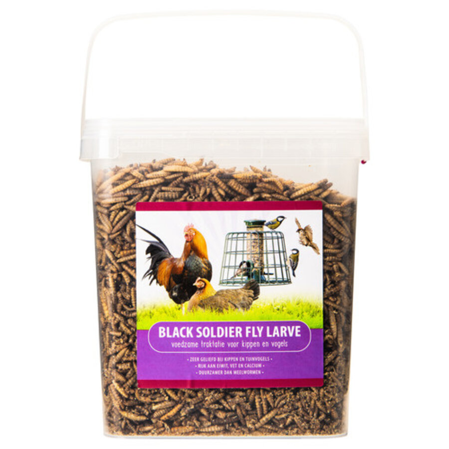 Black Soldier Fly 700g