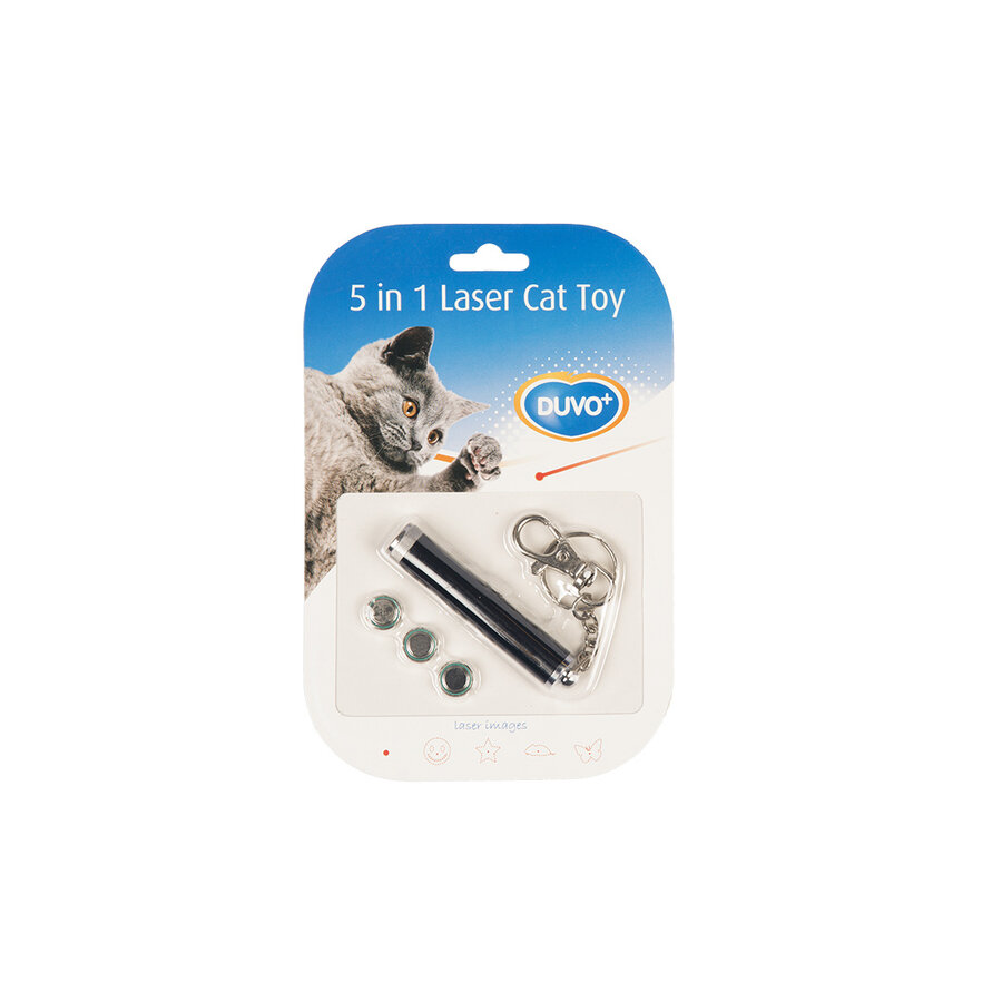 Laser Pointer Catch The Light 5 In 1