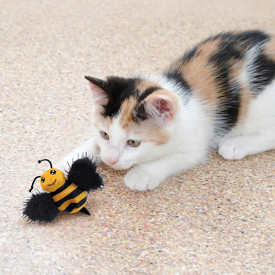Cat Better Buzz Bee