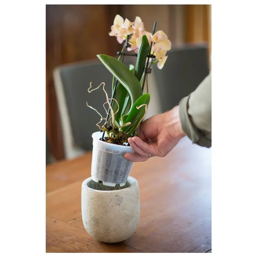 Orchidee pot transparant Ø12cm