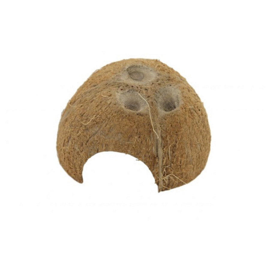 Cocosnoot schuilplaats natuurlijke schuilplek voor aquarium en terrarium