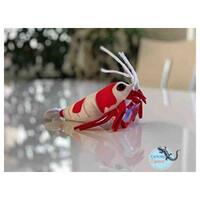 Crystal Red Shrimp Plush