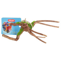 Groeiend Decor Spider Root