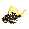 Sunshine Pleco Plush