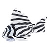 Zebra Pleco Plush