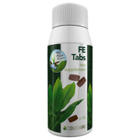 Flora Fe Tabs 10 Stuks