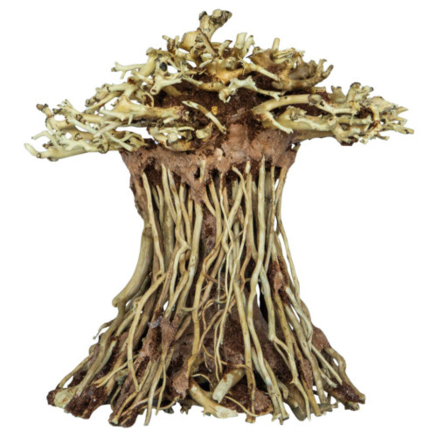 Bonsai Mushroom Small houten aquarium ornament | 14 x 12 x 15 cm | schuilplek voor vissen