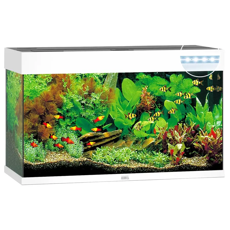 Rio 125 LED | 125L | 81 x 36 x 50CM Wit