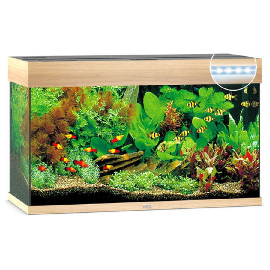 Rio 125 LED | 125L | 81 x 36 x 50CM Lichthout