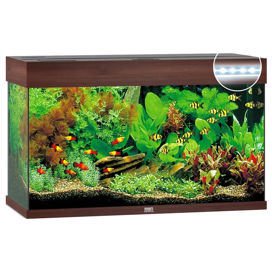 Rio 125 LED | 125L | 81 x 36 x 50CM Donkerhout