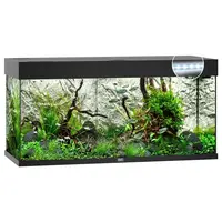 Rio 180 LED | 180L | 101 x 41 x 50CM Zwart