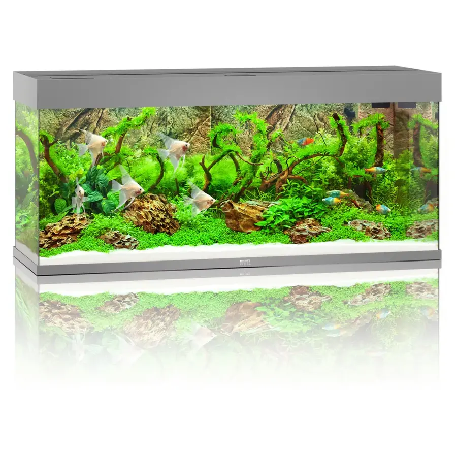 Rio 240 LED | 240L | 121 x 41 x 51CM Grijs