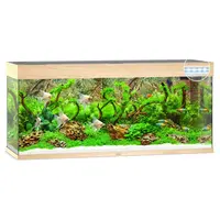 Rio 240 LED | 240L | 121 x 41 x 51CM Lichthout