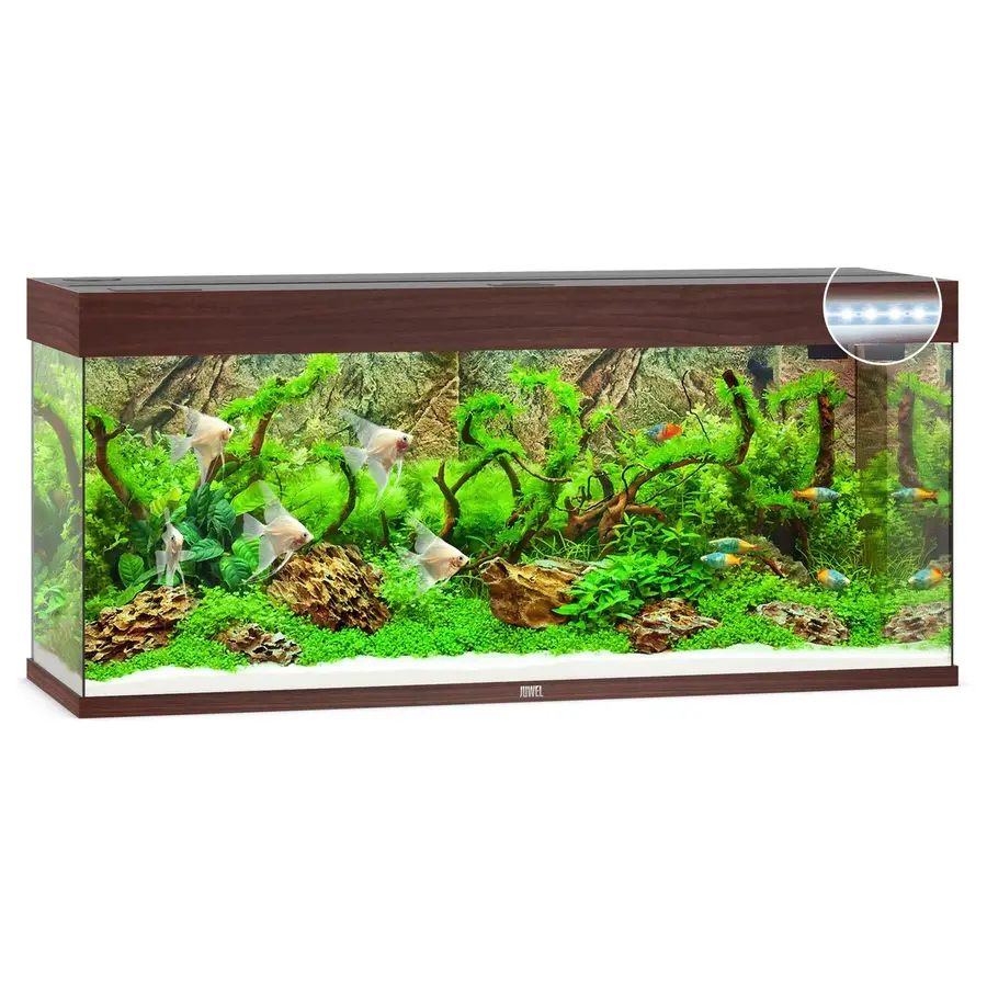 Rio 240 LED | 240L | 121 x 41 x 51CM Donkerhout