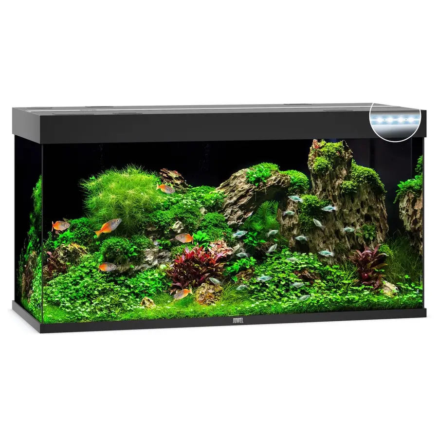 Rio 350 LED | 350L | 121 x 51 x 66CM Zwart