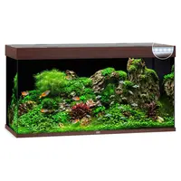 Rio 350 LED | 350L | 121 x 51 x 66CM Donkerhout