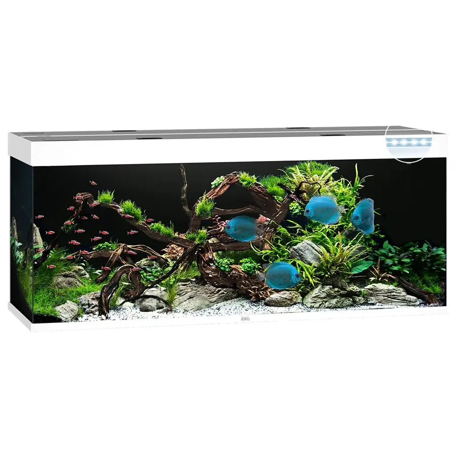 Rio 450 LED | 450L | 151 x 51 x 66CM Wit