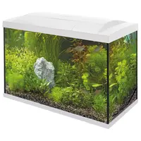 Start 70 Tropical Kit | 73L | 59 x 31,5 x 44,1CM Wit