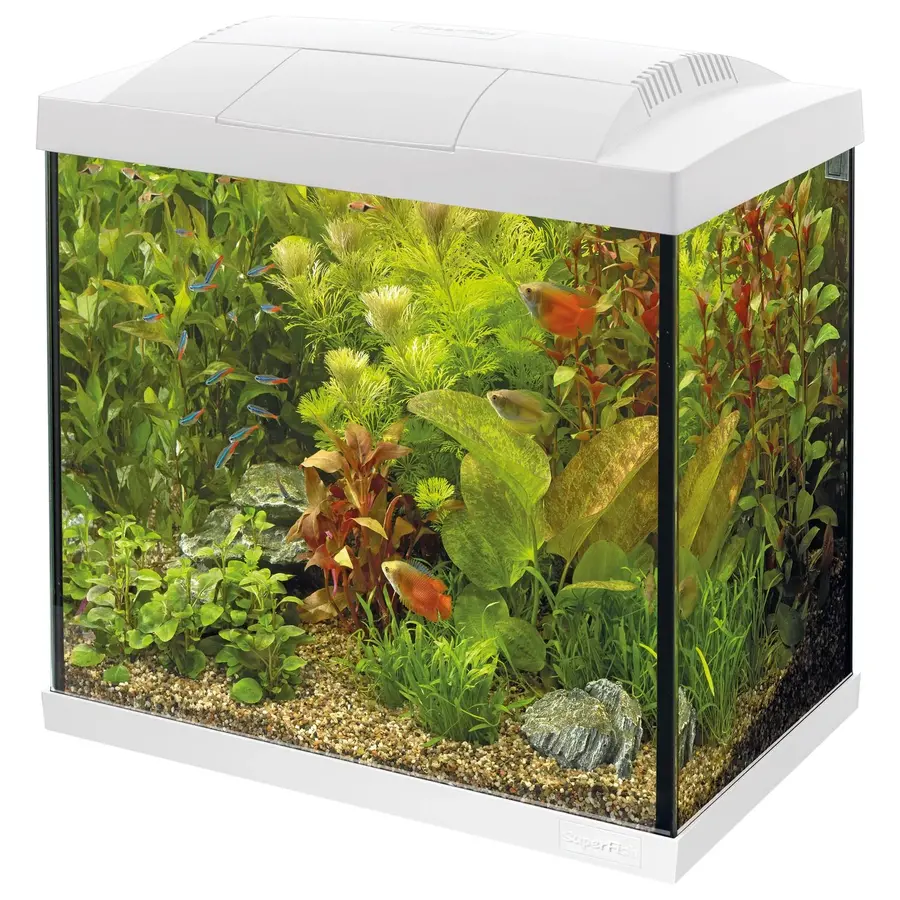 Start 50 Tropical Kit | 39L | 44,2 x 27 x 37,4CM Wit