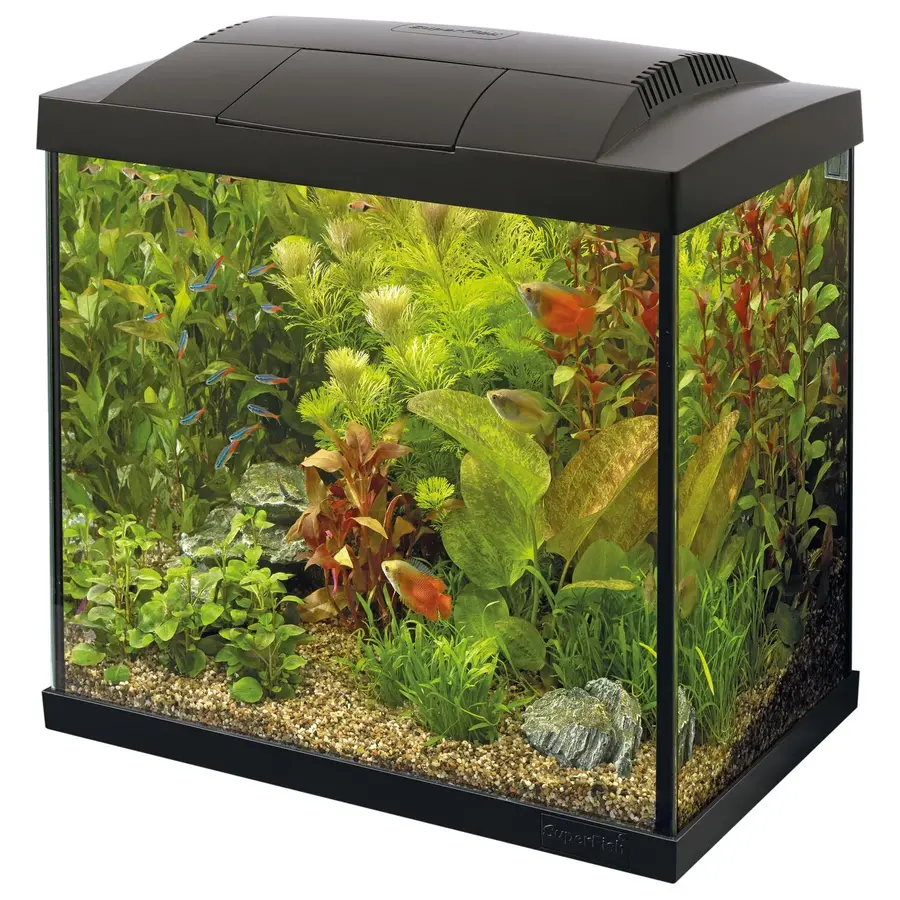 Start 50 Tropical Kit | 39L | 44,2 x 27 x 37,4CM Zwart