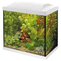 Start 30 Tropical Kit | 27L | 36 x 23 x 37,4CM Wit