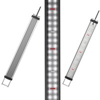 Set Incpiria 330 | 330L | 100 x 60 x 65 CM Graphit