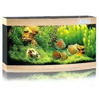 Vision 260 LED | 260L | 121 x 46 x 64CM Lichthout