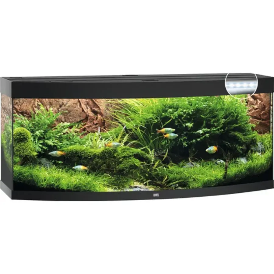 Vision 450 LED | 450L | 151 x 61 x 66CM Zwart