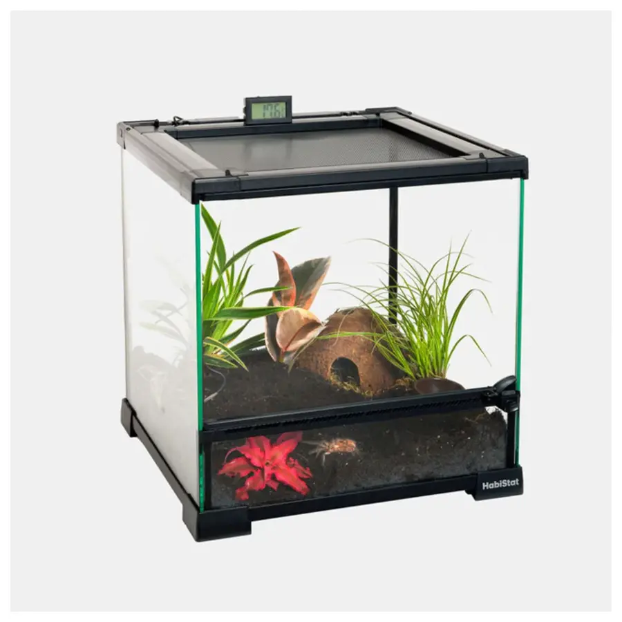 Glazen terrarium 30 x 30 x 32CM met voordeur en afneembaar gaasdeksel