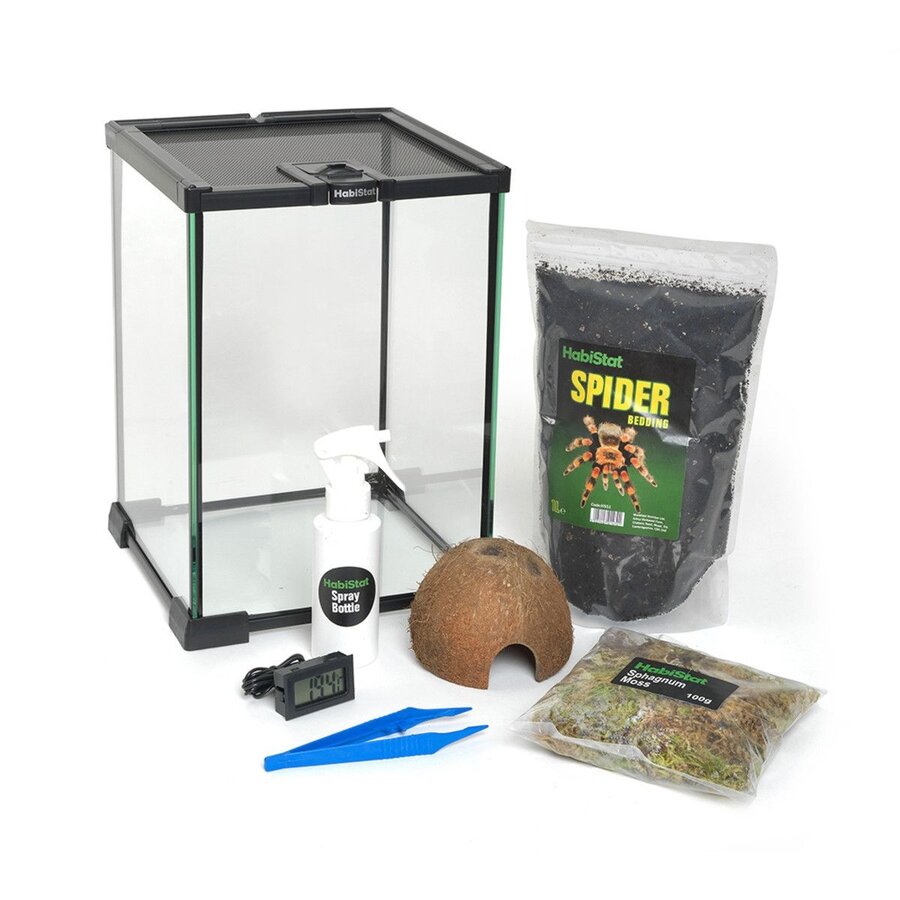 Ongewervelden Starter Kit 20x20x30 cm compleet terrarium voor insecten en spinnen