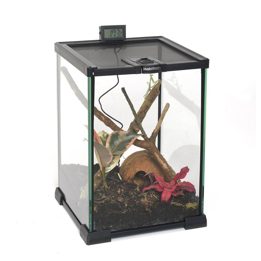 Ongewervelden Starter Kit 20x20x30 cm compleet terrarium voor insecten en spinnen