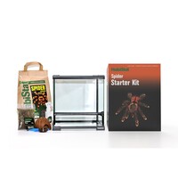 Spinnen starterkit glazen terrarium 30 x 30 x 32 cm voor spinnen schorpioenen en miljoenpoten
