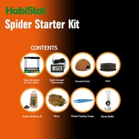 Spinnen Starter Kit | 30 x 30 x 32CM