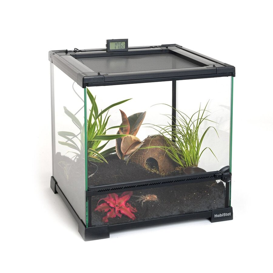 Spinnen starterkit glazen terrarium 30 x 30 x 32 cm voor spinnen schorpioenen en miljoenpoten