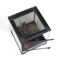 Spinnen starterkit glazen terrarium 30 x 30 x 32 cm voor spinnen schorpioenen en miljoenpoten