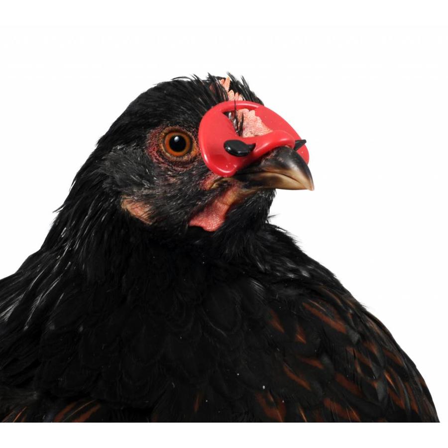 Pluimveebril tegen verenpikken - klein en groot, verpakkingen van 25 of 100 stuks