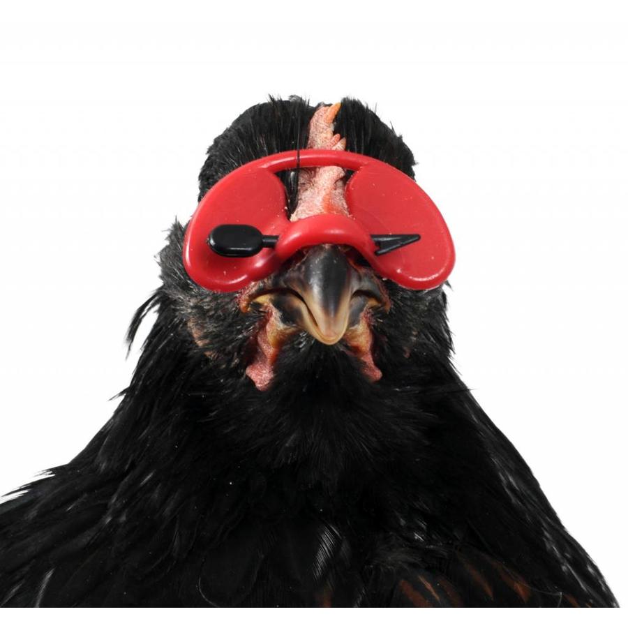 Pluimveebril tegen verenpikken - klein en groot, verpakkingen van 25 of 100 stuks