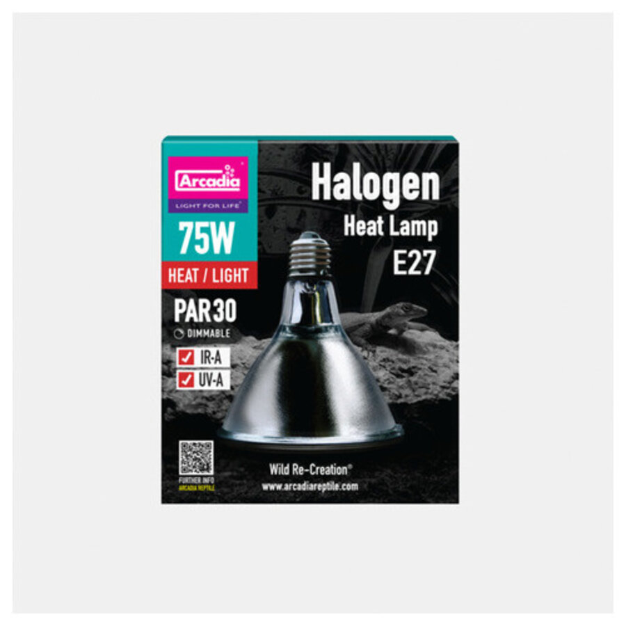 Halogeen Basking Spot warmtelamp voor reptielen | 35W 50W 75W 100W