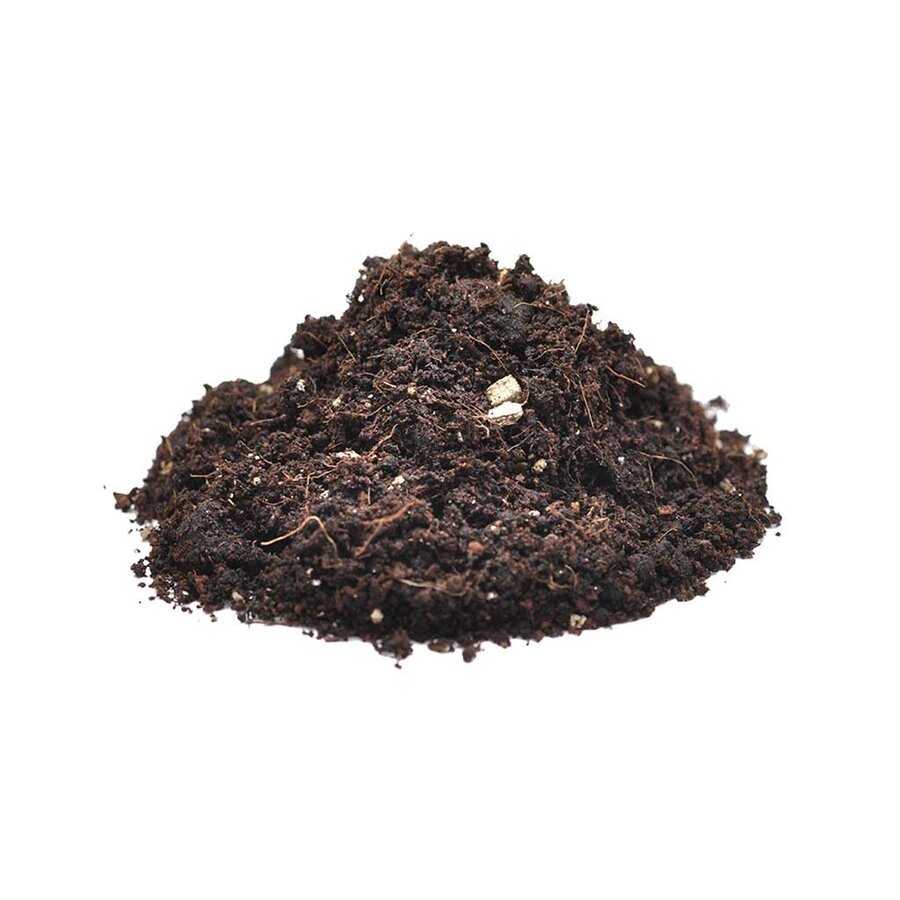 Spinnen Substraat 5L | Natuurlijk vochtregulerend terrariumsubstraat voor spinnen en schorpioenen