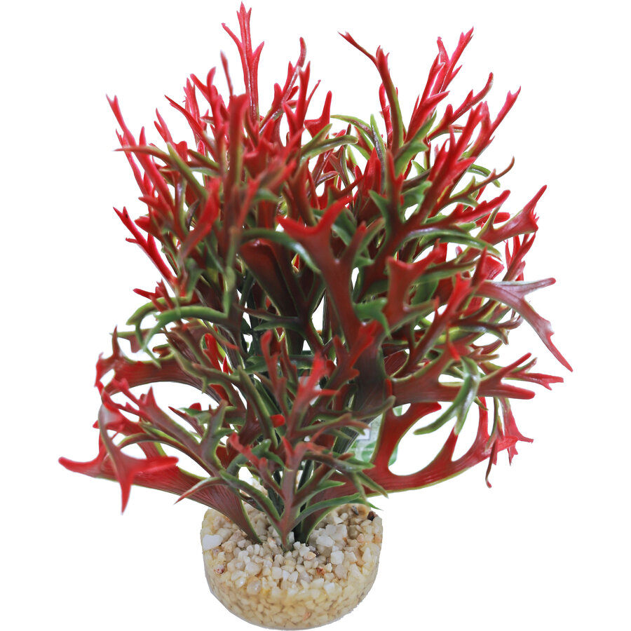 Kunstplant Waterfern 18CM