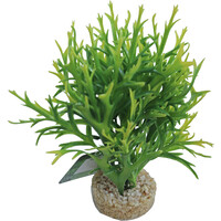 Kunstplant Waterfern 18CM