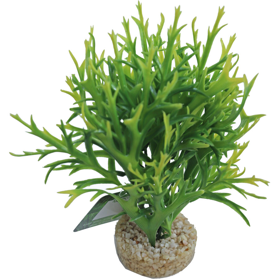 Kunstplant Waterfern 18CM