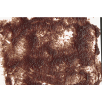 Freshdelica Daphnia 48 Gram