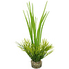 Kunstplant Oasis Baby 18CM